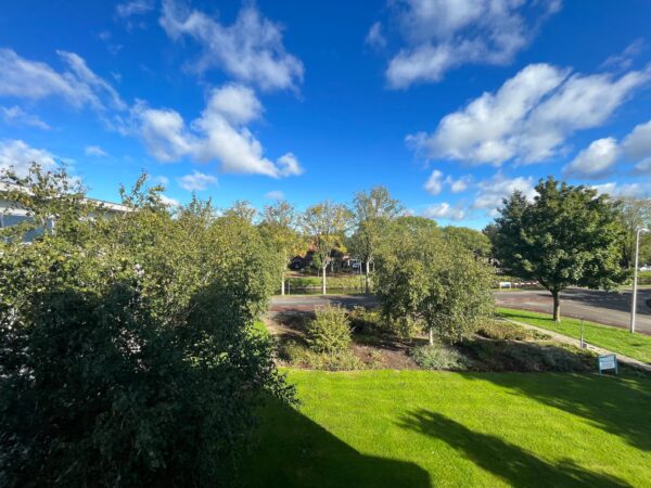 Groen parkachtig gebied in Leidse Rijn met struiken, bomen en een blauwe lucht met wolken.